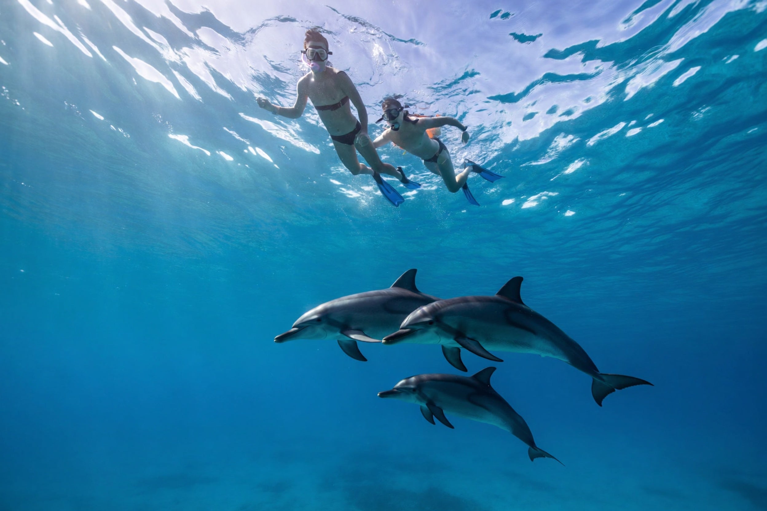 Snorkelling Trip
